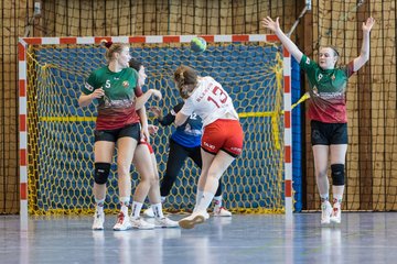 Bild 142 - F HSG Kremperheide/Muensterdorf - Slesvig IF 2 : Ergebnis: 30:26